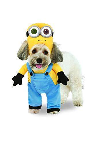 16) Minion Pet Costume