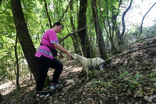 "A ruined tree does not produce (truffles) any more," Evgjeni Pano said, adding that she would like authorities to introduce strict licensing and taxes to control the trade