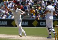 Australia's Peter Siddle (L) celebrates after taking the wicket of England's Kevin Pietersen during the third day of the second Ashes test cricket match at the Adelaide Oval December 7, 2013.