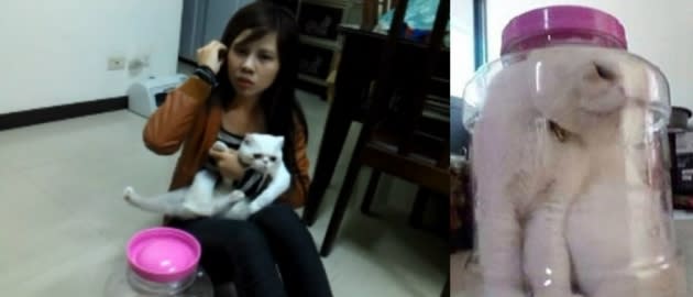 This Taiwanese college student crammed her cat in a jar