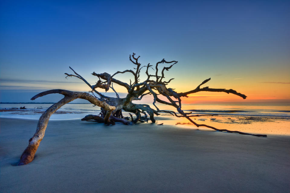 <div><p>"One of Georgia's sea islands, Jekyll Island is very residential so it doesn't get flooded with tourists. There are beautiful beaches, especially Driftwood Beach, and there's a historic downtown district with cute shops." </p><p>—<a href="https://www.buzzfeed.com/chandnip4dbe3b052" rel="nofollow noopener" target="_blank" data-ylk="slk:chandnip4dbe3b052;elm:context_link;itc:0;sec:content-canvas" class="link ">chandnip4dbe3b052</a></p></div><span> Thierry Hennet / Getty Images/EyeEm</span>