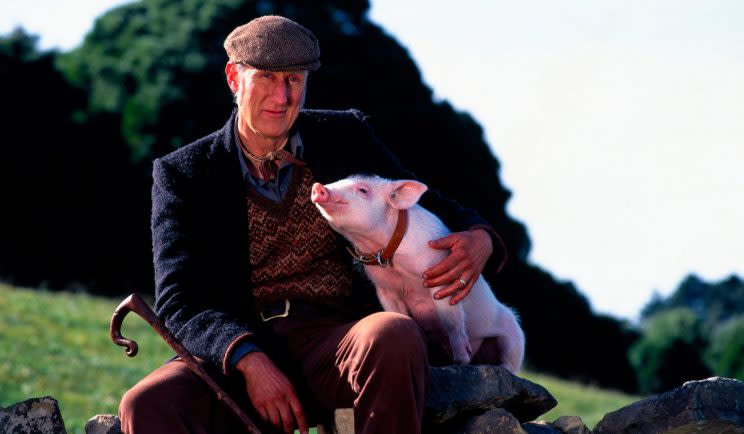 Actor James Cromwell as Farmer Hoggett in Babe - Credit: Universal Pictures