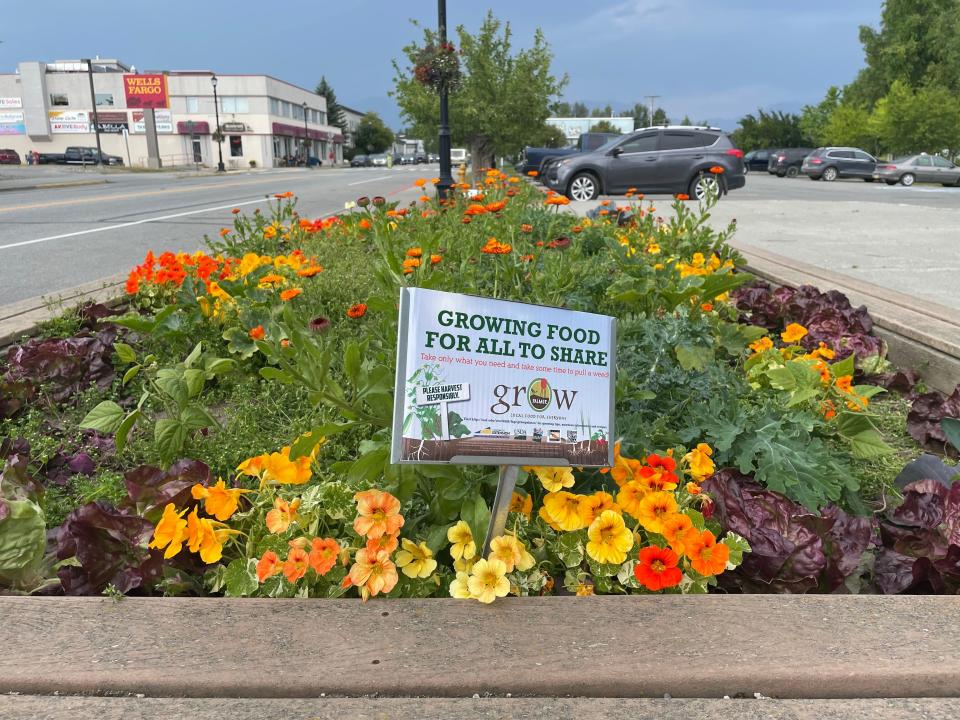 free produce in palmer with a sign telling passerbys to take what they want