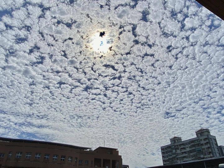 前中央氣象局長鄭明典今天分享半透光的高積雲照片，引發臉友迴響。（圖取自鄭明典Facebook）