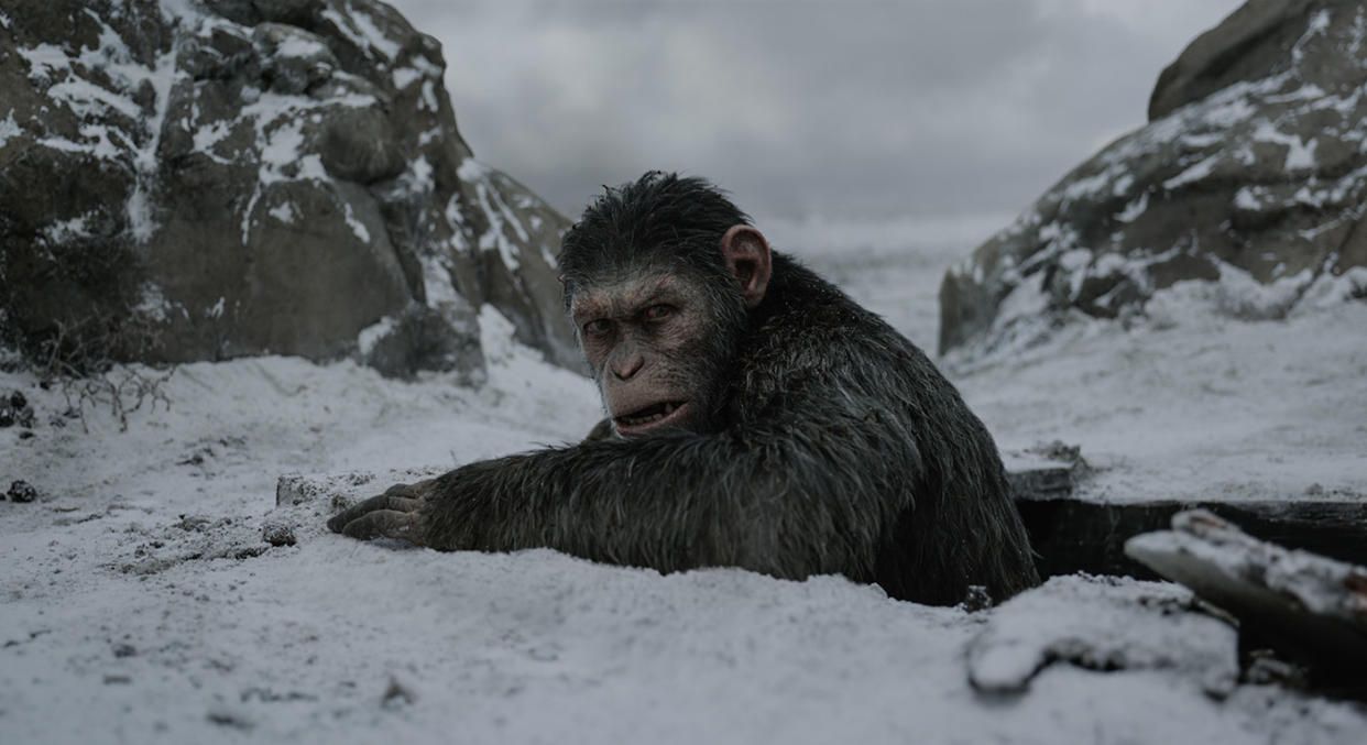 Caesar goes to ground in 'War for the Planet of the Apes' (20th Century Fox)