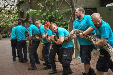 chester zoo - Credit: Matthew Pover