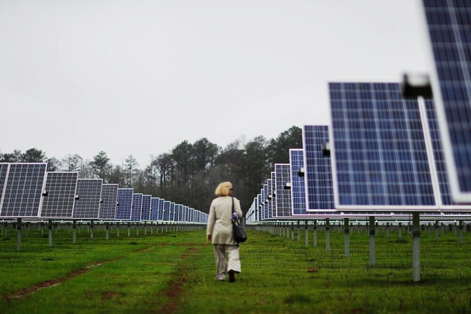 A reporter observes solar panels lining farmland that former President Jimmy Carter owns in his hometown of Plains, Georgia.