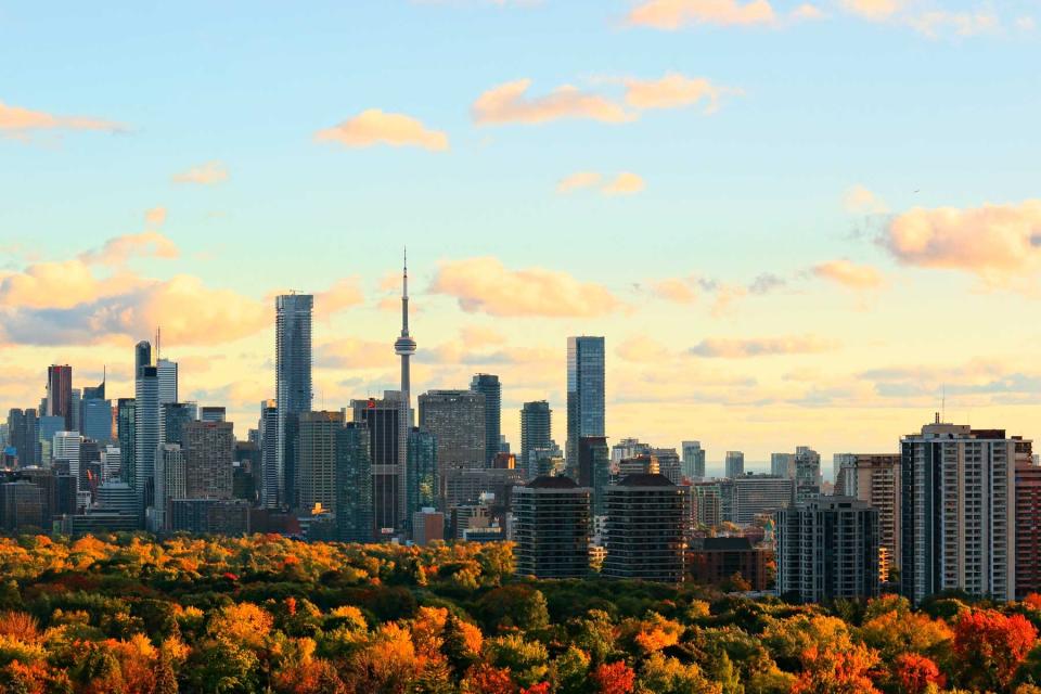 Toronto skyline with downtown, midtown, and urban tree canopy lit by setting sun