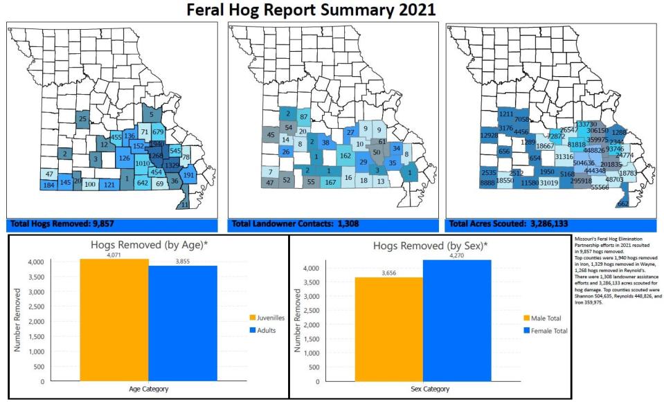 A summary feral hog report from 2021.