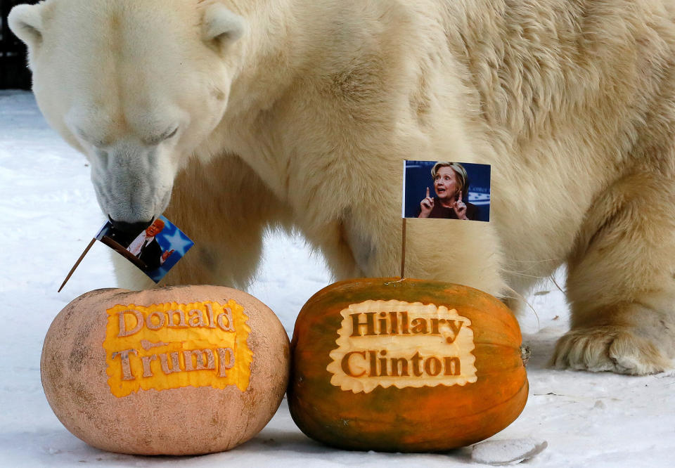 U.S. presidential election predictions in Krasnoyarsk, Russia