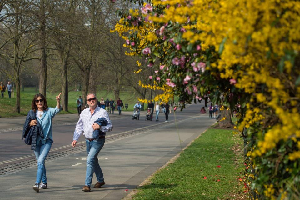 20-minute walk in park can treat stress, researchers claim