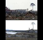 This combination of pictures shows a 10-metre high pine tree in Rikuzentakata, Iwate prefecture on March 29, 2011 (top) and the same scene as it appears on January 15, 2012 (bottom). It is the only tree to have survived the tsunami among some 70,000 trees located by the seashore to protect from salt, sand and wind damage. March 11, 2012 will mark the first anniversary of the massive tsunami that pummelled Japan, claiming more than 19,000 lives. AFP PHOTO / TOSHIFUMI KITAMURA (top) AFP PHOTO / TORU YAMANAKA (bottom)