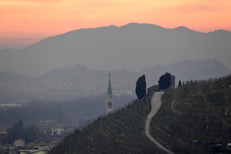 “The great effort required to manage these areas reinforces the specific human-environment connection,” the authors write (Miguel Medina/AFP via Getty Images)