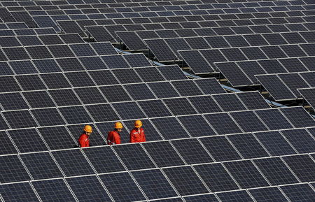 Workers walk among newly installed solar panels at a solar power plant in Zhouquan township of Tongxiang, Zhejiang province, China, in this December 18, 2014 file picture. REUTERS/Stringer/Files