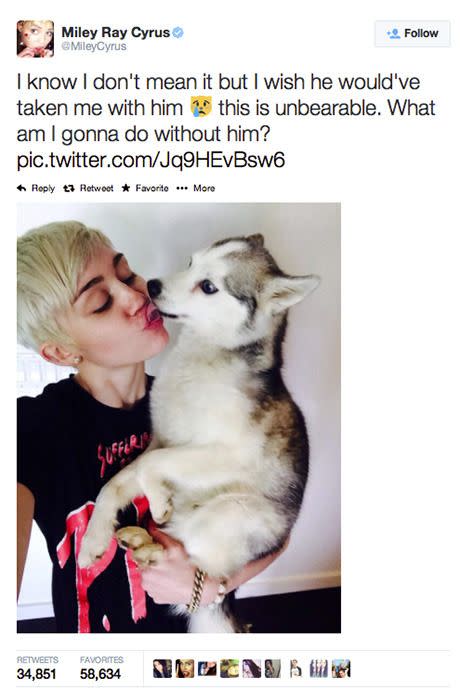 Miley took to Twitter to share her sadness with fans. Credit: Twitter