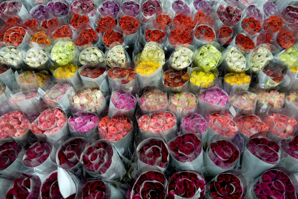 Roses are ready to be shipped to the U.S. ahead of Valentine's Day, the biggest holiday of the year for fresh-cut flower sales, at the Mongibello flower company in Chia, north of Bogota, Colombia, Wednesday, Jan. 31, 2024. (AP Photo/Fernando Vergara)