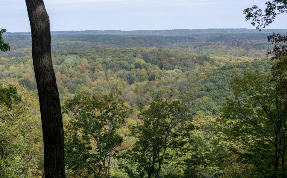 A view of woods to the west, looking off of Browning Hill in a remote part of Brown County, Indiana. This area is in the Hoosier National Forest north of the Houston South project.