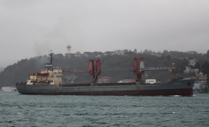 The Russian Navy cargo ship Dvinitsa-50 sails in Istanbul's Bosphorus