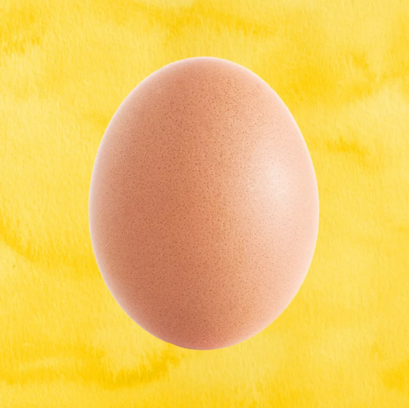 The World Record Egg. Source: Time/Instagram