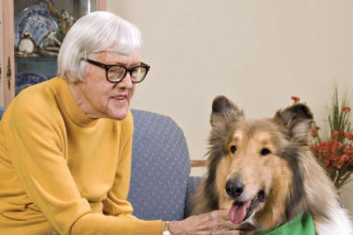 Have your Pet Participate in Therapeutic Visitation