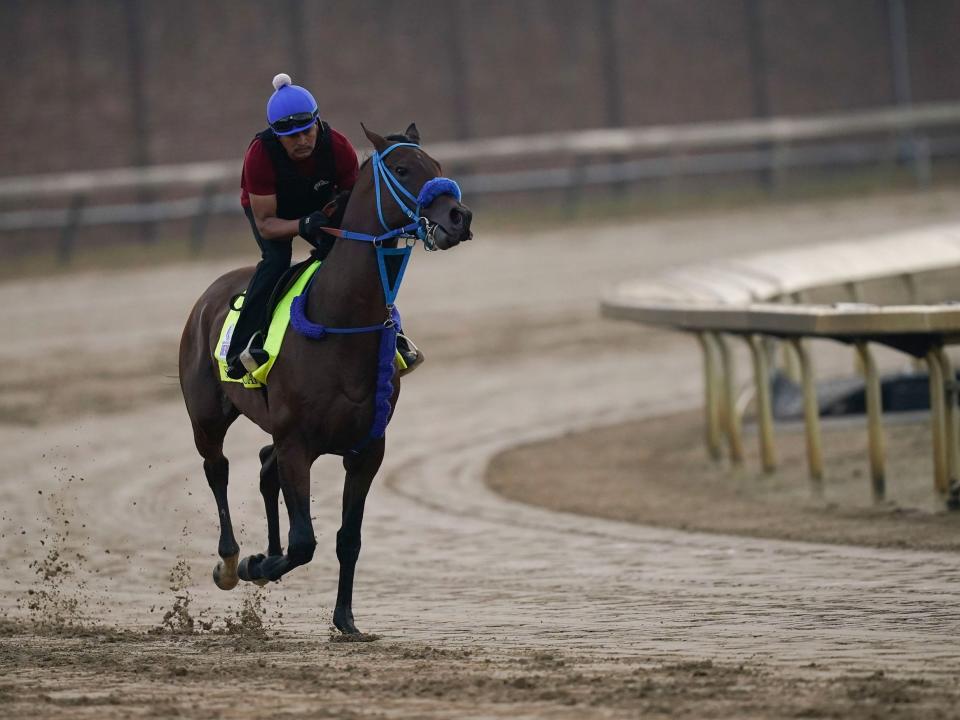 Kentucky Derby entrant Simplification works out at Churchill Downs.