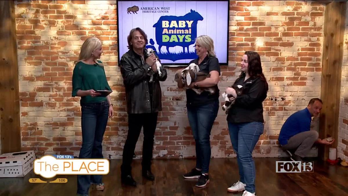 Baby Animal Days [Video]