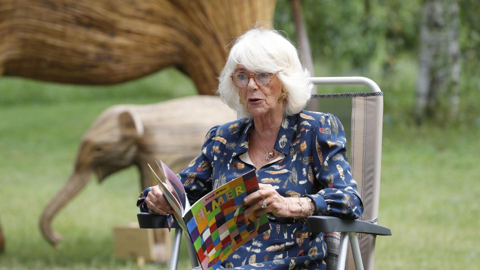 Queen Camilla reading a book