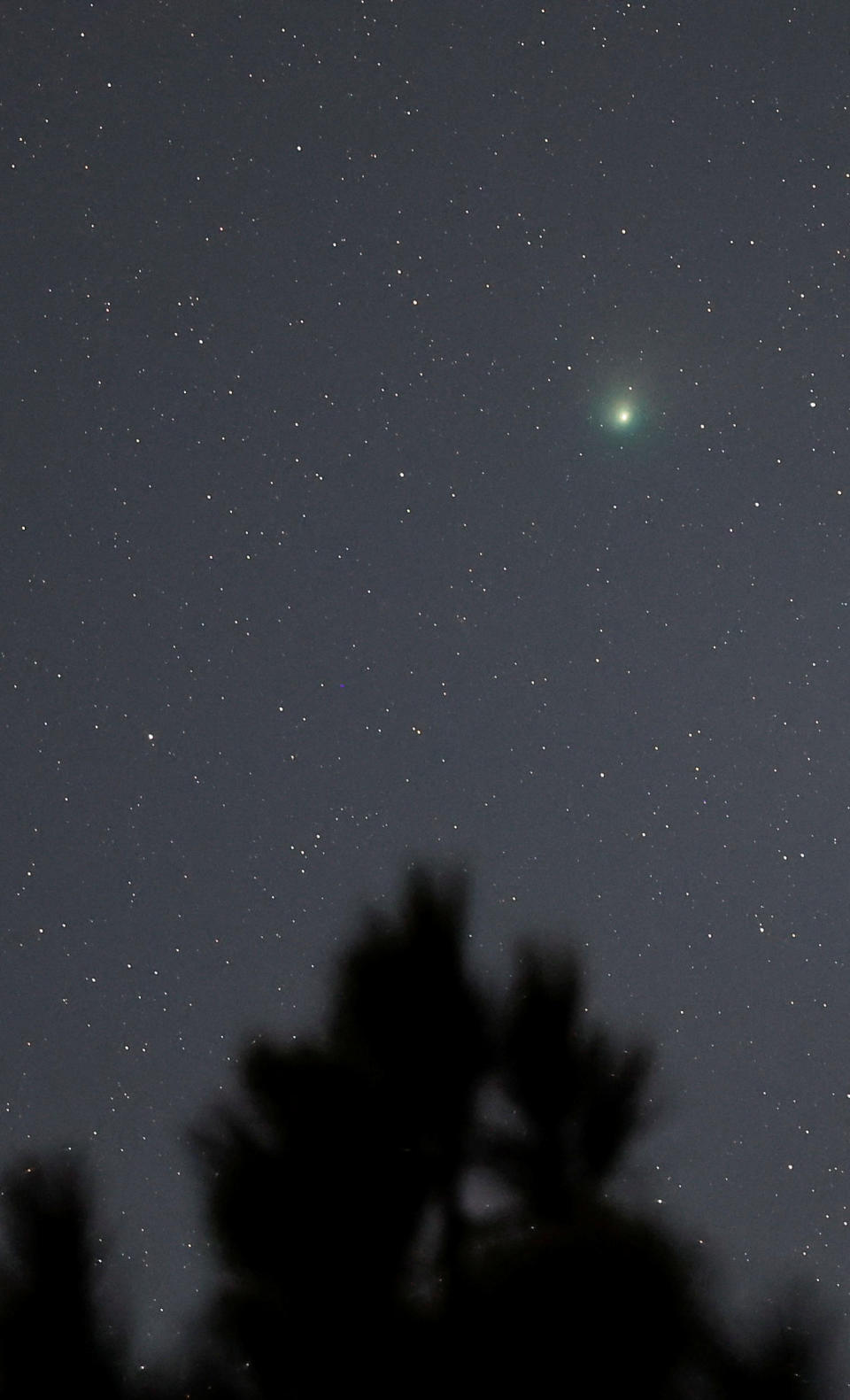 El cometa C/2022 E3 (ZTF) visto desde el Pico de las Nieves, en Gran Canaria. REUTERS/Borja Suarez