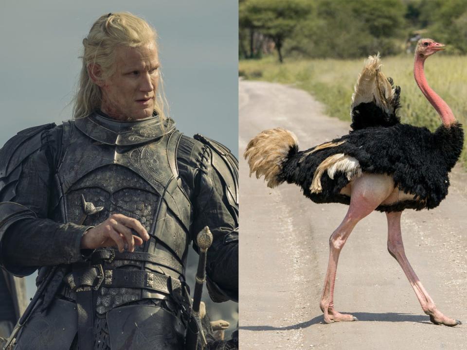 A side by side image of a man in silver armor with a black-pommeled sword and an ostrich.