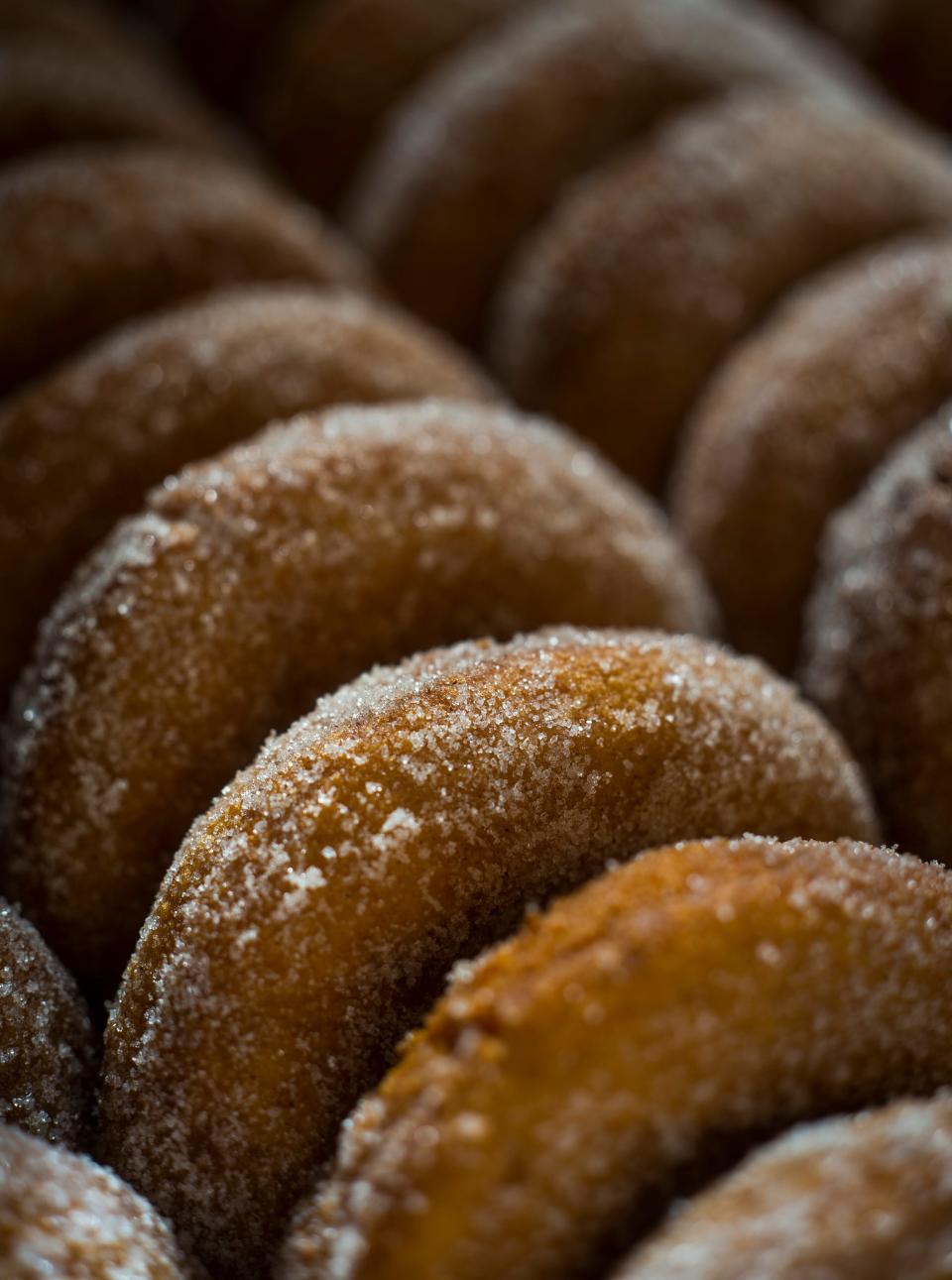 Freshly made cider donuts at Shelburne Orchards. 