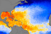 Beim Streifzug über den Atlantik kann „Irene“ dank der relativ warmen Wassertemperaturen Energie tanken. Die Karte gibt Aufschluss über die Meerestemperaturen des Atlantiks, des Golfs von Mexiko und der Karibik. (Bild: NASA Earth Observatory/Jesse Allen; merged AMSR-E/MODIS data/Chelle Gentemann and Frank Wentz, Remote Sensing Systems)