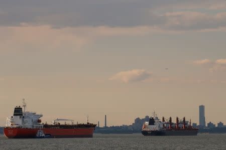 FILE PHOTO: Ships are seen in New York Harbor in New York City, U.S. June 27, 2017. REUTERS/Brendan McDermid/File Photo