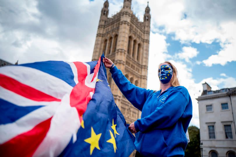 A Pro-European Union protester holds Union and European flags in front of the Victoria Tower at The Palace of Westminster in central London