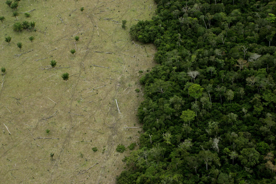 Huge areas of the Amazon are deforested for cattle, timber and other industries.&nbsp; (Photo: LeoFFreitas via Getty Images)