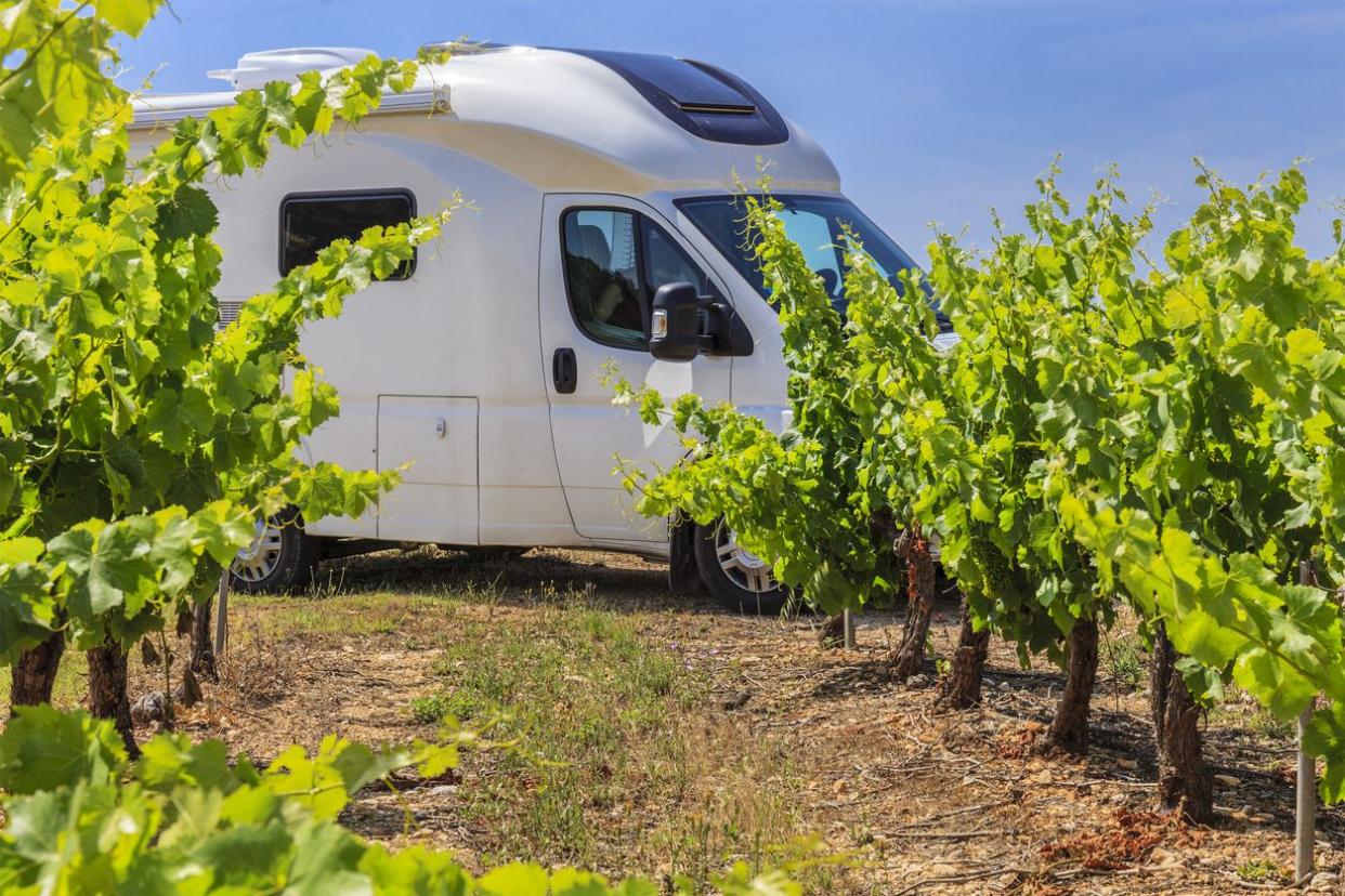 RV vineyard