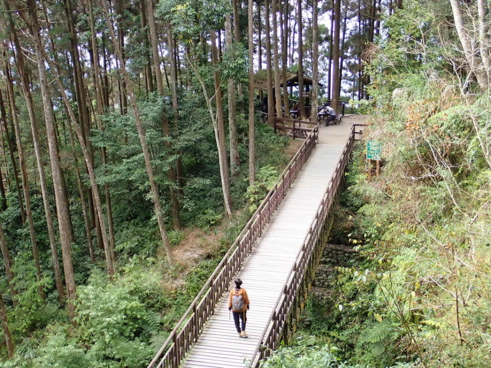 藤枝國家森林遊樂區