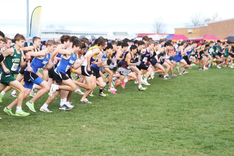 Section 1's cross-country team (L), including runners from Pearl River, John Jay-Cross River and Hen Hud, can be seen taking off with other runners in the boys state Class B championship Nov. 11, 2023 in Verona, New York.