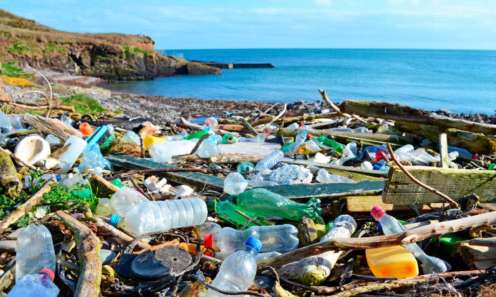 <span class="element-image__caption">‘Our environment is so saturated now with plastic that it’s seems almost inevitable that we were going to absorb it somehow.’</span> <span class="element-image__credit">Photograph: Education Images/UIG via Getty Images</span>