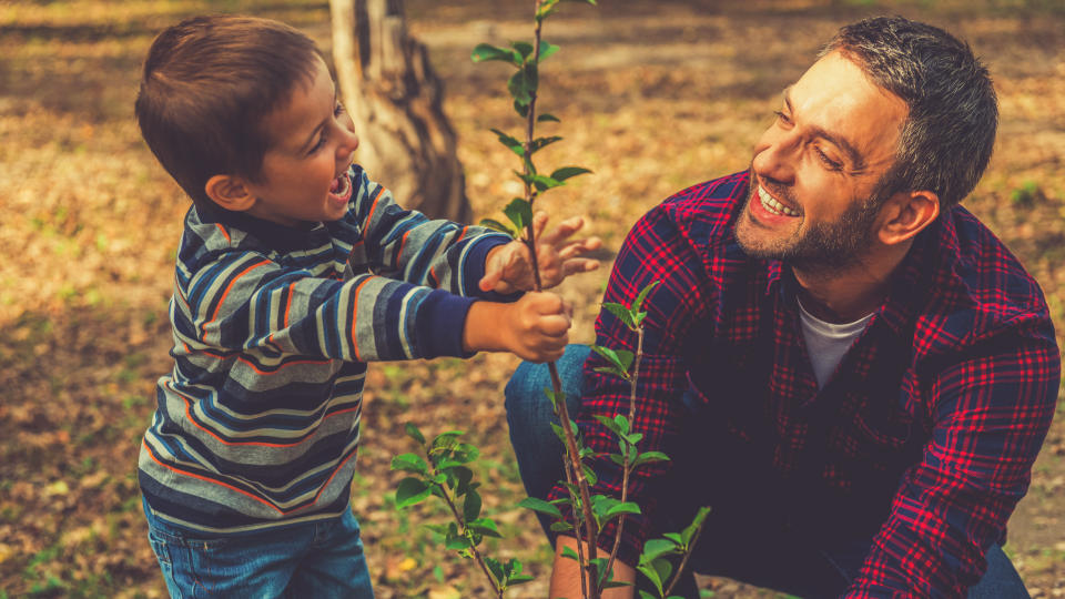 young man planting a tree