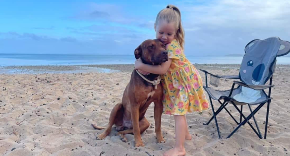 Mango being hugged by a little girl on the beach.