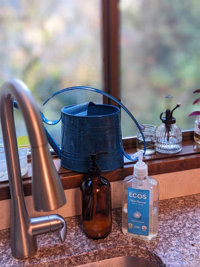 ECOS hand soap near kitchen sink.