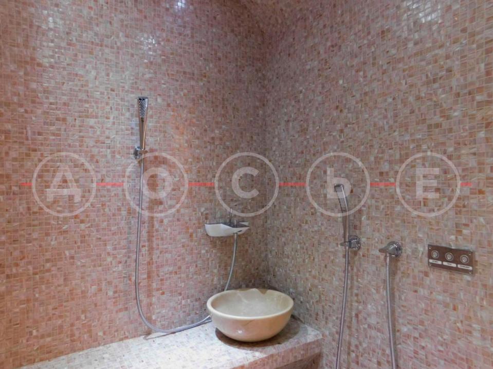 The “fancy shower” includes an “aroma foam” mode (Dossier Center)
