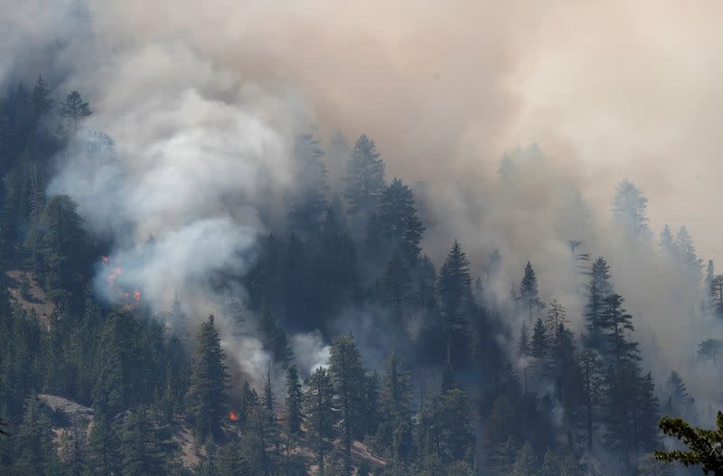 Ongoing Bobcat Fire in Los Angeles, California, U.S.