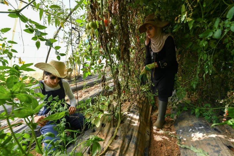 Amira Messous et Ibtissem Mahtout dans leur ferme à Douaouda, à une trentaine de kilomètres à l'ouest de la capitale algérienne, le 30 mai 2024 (-)