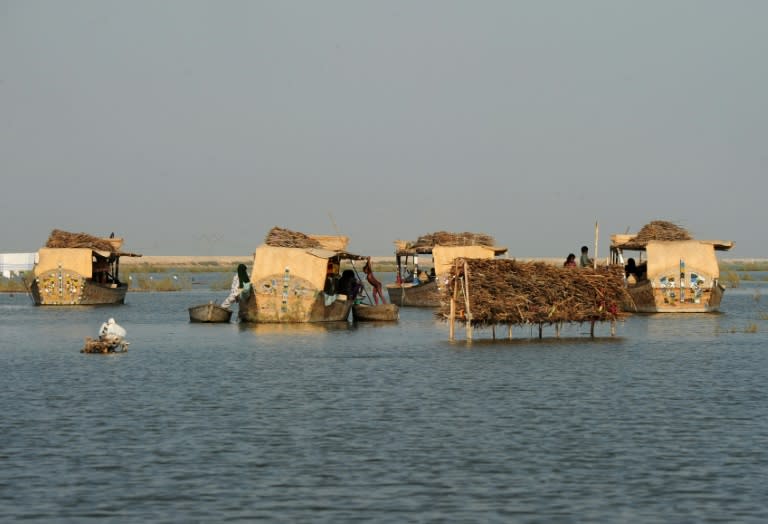 Streams of toxic water are polluting Manchar Lake in Pakistan and killing the fish the Mohanna tribe used to harvest