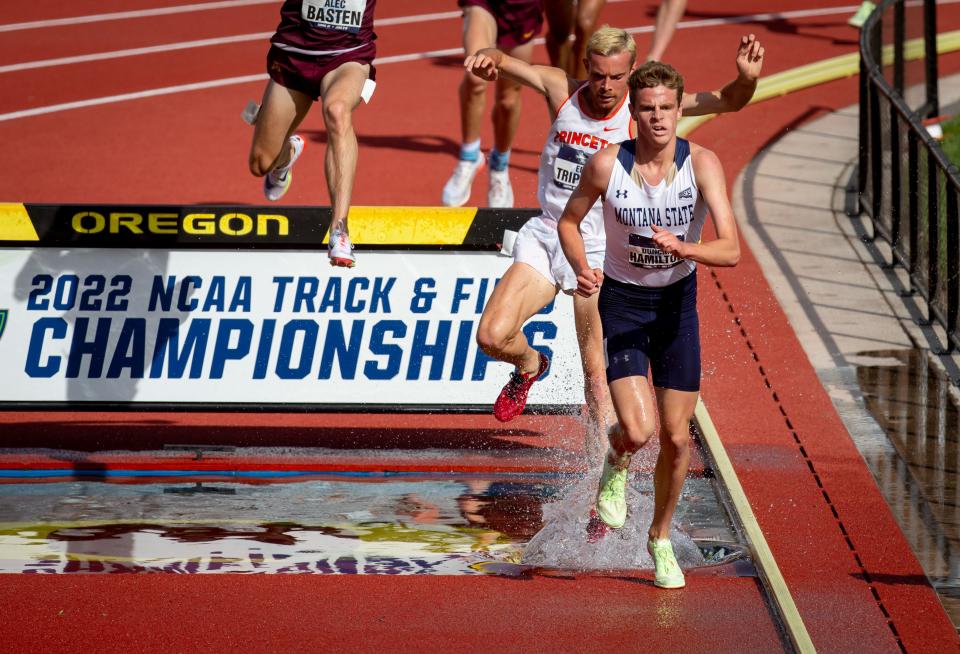Montana State’s Duncan Hamilton leads the pack of runners to a first place finish in the semifinals of the men’s 3,000 meter steeplechase at the NCAA Outdoor Track & Field Championships Wednesday, June 8, 2022, at Hayward Field in Eugene, Ore. 