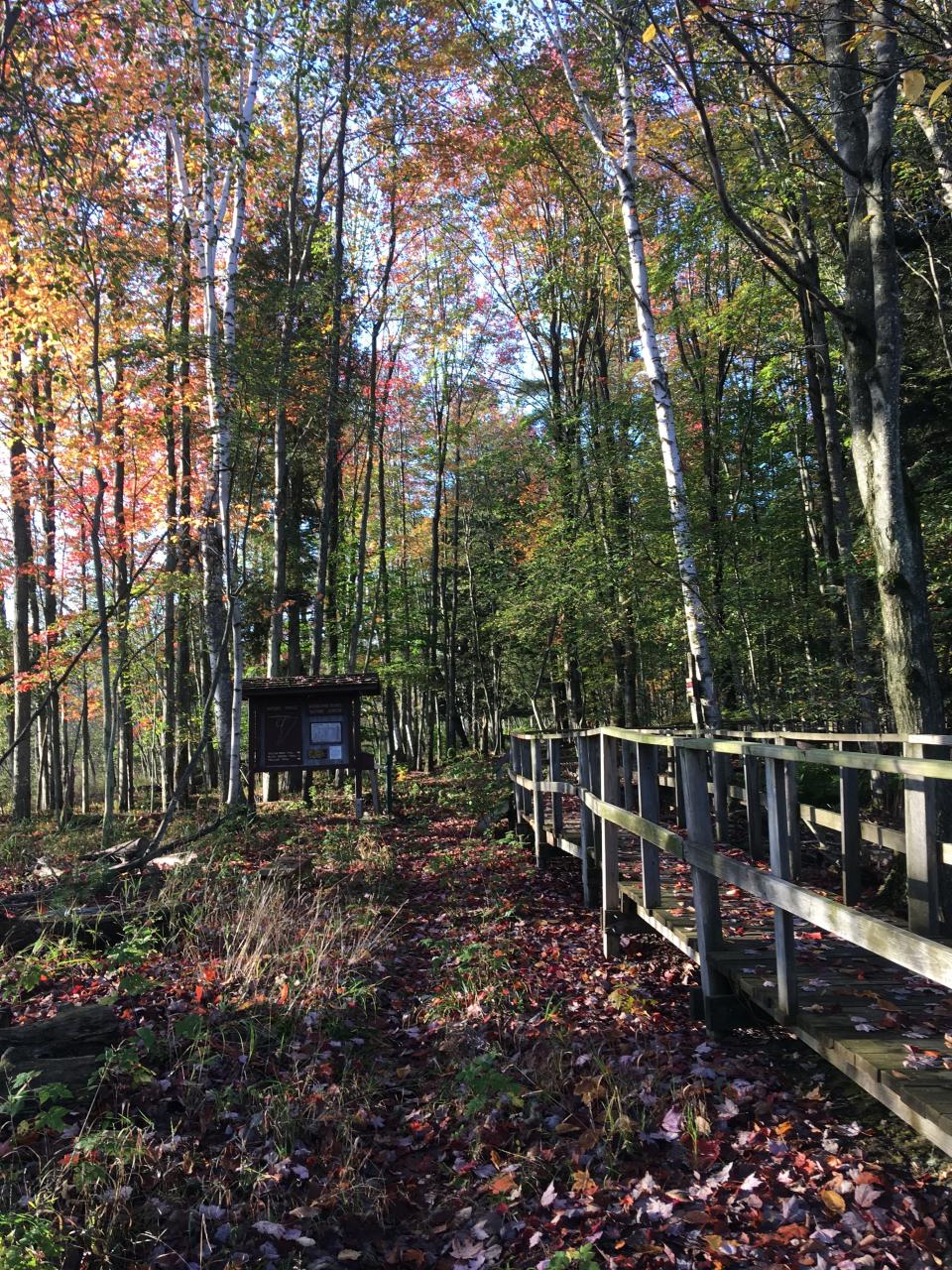 The Goodwin Road trails at Woodland Dunes in Two Rivers.