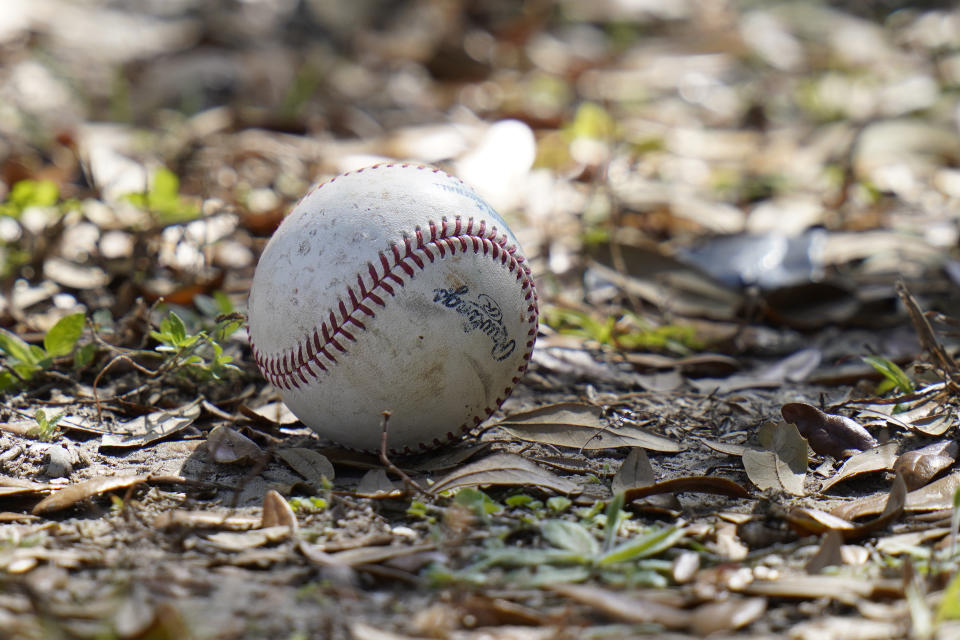 An unclaimed baseball sits outside the right field fence after a Major League Baseball player hit a home run during informal baseball workouts at the University of South Florida Thursday, Feb. 24, 2022, in Tampa, Fla. (AP Photo/Chris O'Meara)