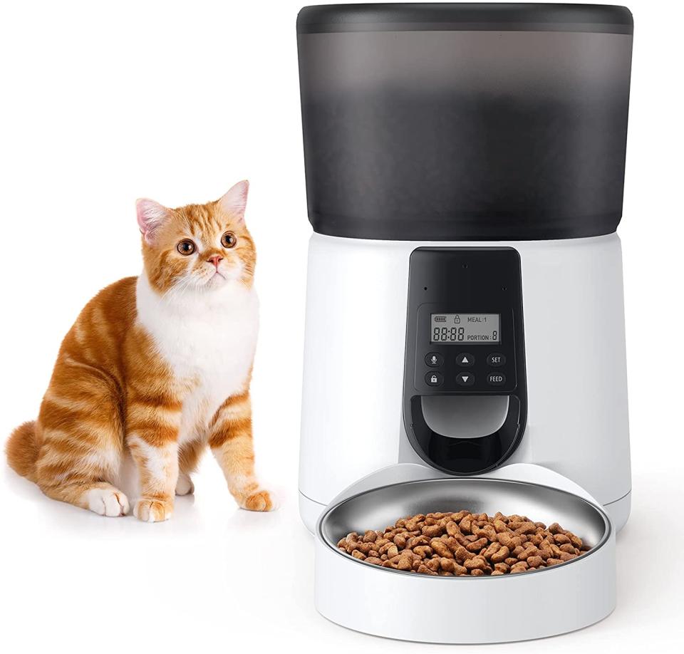 KATALIC automatic pet feeder, best black friday pet deals