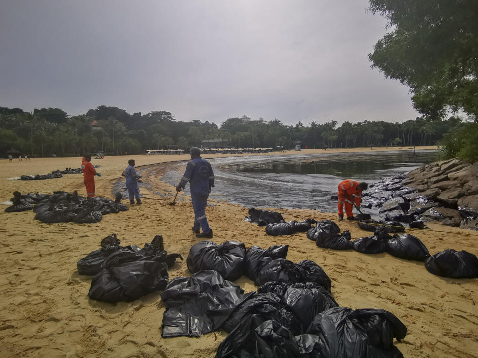 Workers clean oil spill along Sentosa's Tanjong Beach area in Singapore, Sunday, June 16, 2024. (AP Photo/Suhaimi Abdullah)